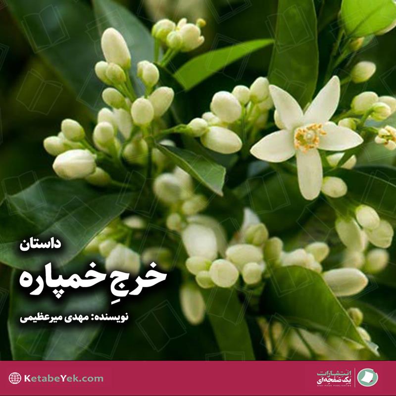 داستان خرج خمپاره نوشته مهدی میرعظیمی