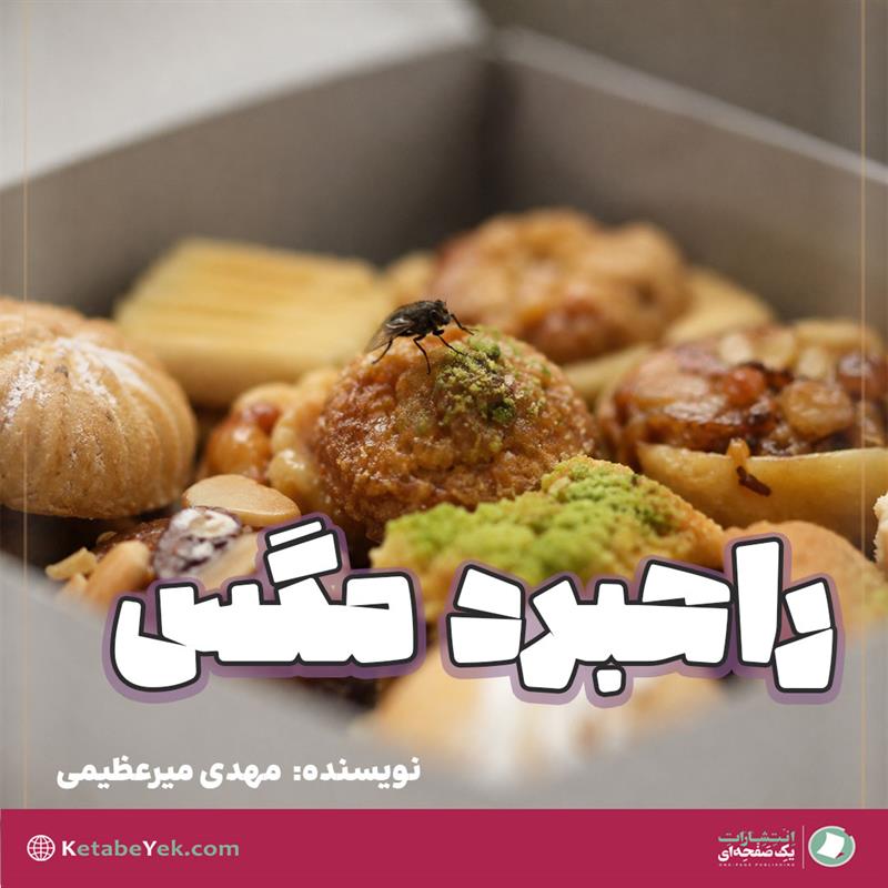 یادداشت راهبرد مگس نوشته مهدی میرعظیمی